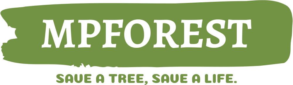MPforest Safari Booking Website