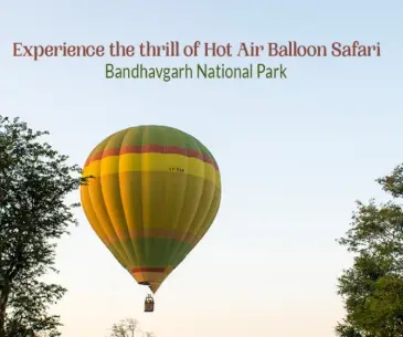 Hot Air Balloon Safari in Bandhavgarh