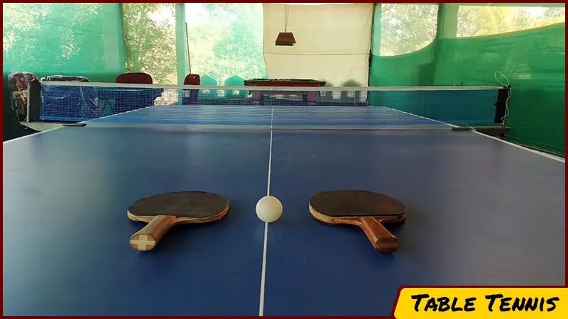 Table Tennis in Kanha Resort