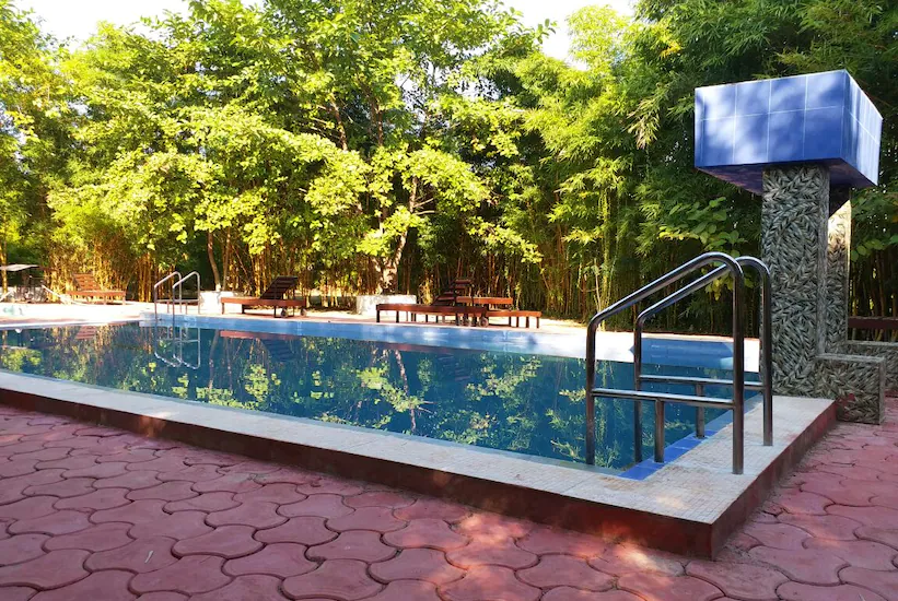 Kanha Treasure Resort Pool