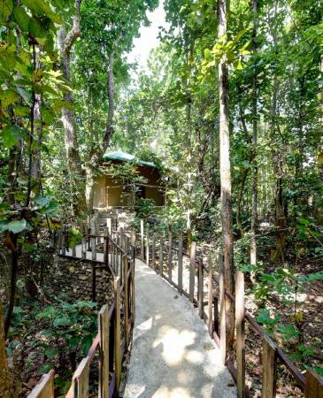 Pench Jungle Camp Turia
