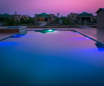 Swimming Pool of Olive Resort Sillari