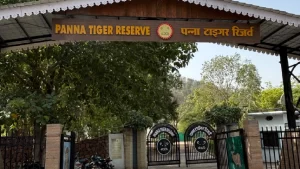 panna national park entry