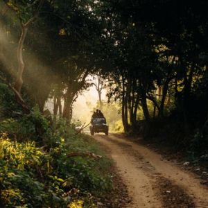 Rajaji National Park