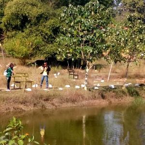 Kanha Zone Jeep Safari Tours