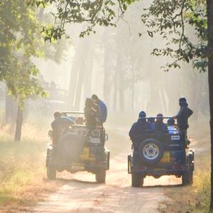 Private Kanha National Park Wildlife Tiger Safari Tour