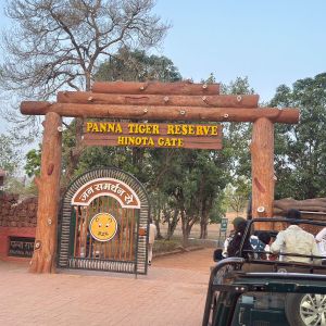 8 Days MP Wildlife Tour Packages